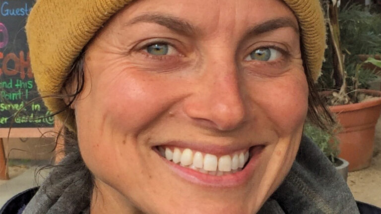 What do you think about the shared electric bikes that recently showed up around Santa Cruz?