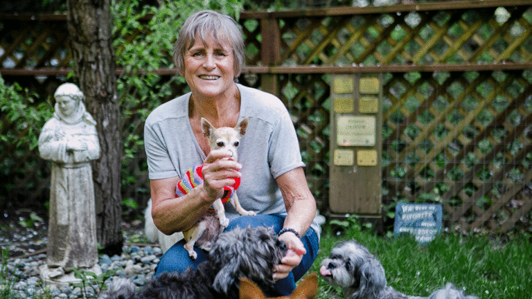 Opinion May 16, 2018