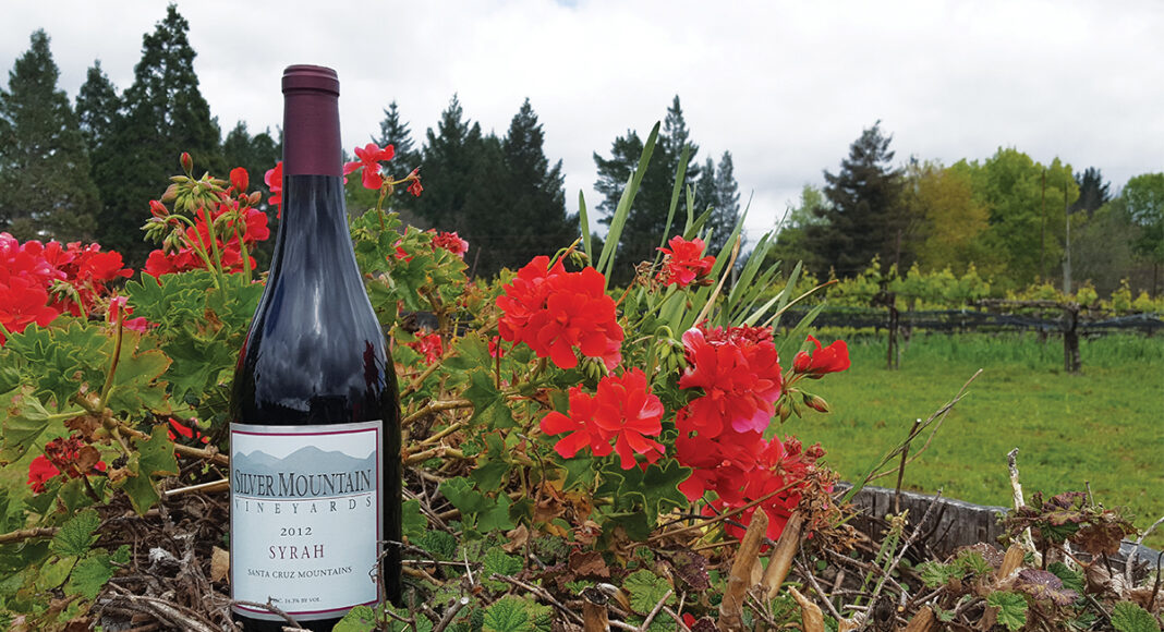 Silver Mountain Vineyards 2012 Syrah