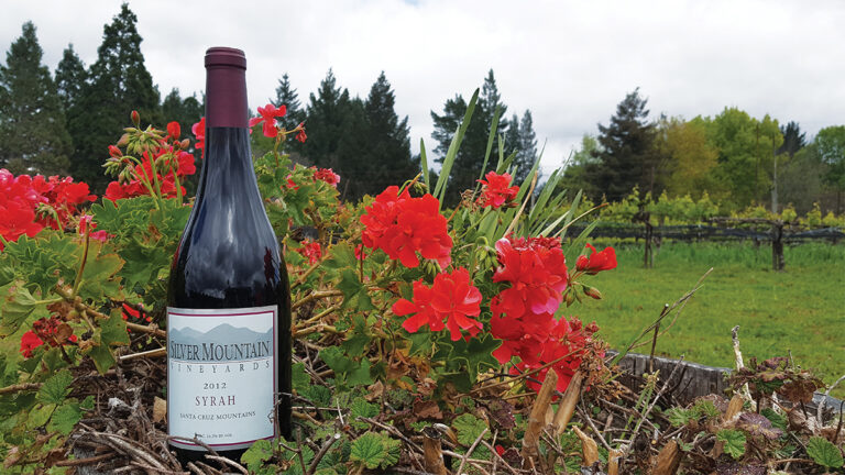 Silver Mountain Vineyards’ 2012 Syrah