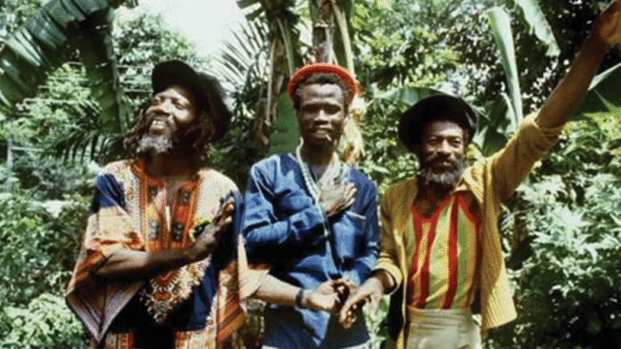 Giveaway: Abyssinians