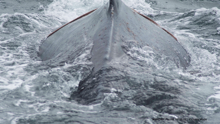 Opinion June 13, 2018