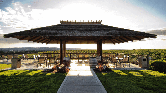 A Visit to Eberle Winery Eberly