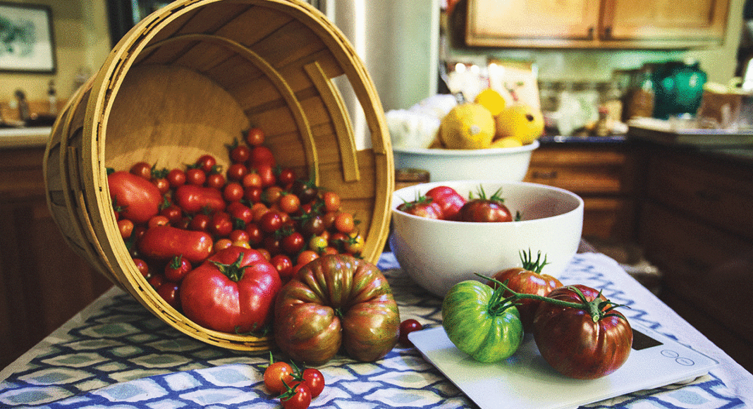 Mountain Feed & Farm Supply