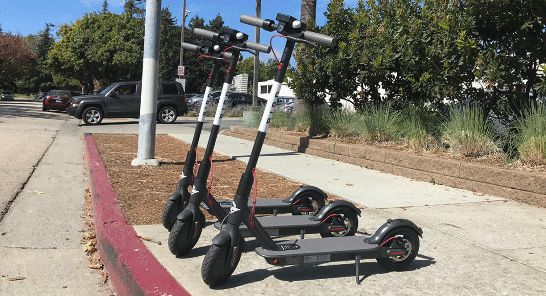 Bird scooters