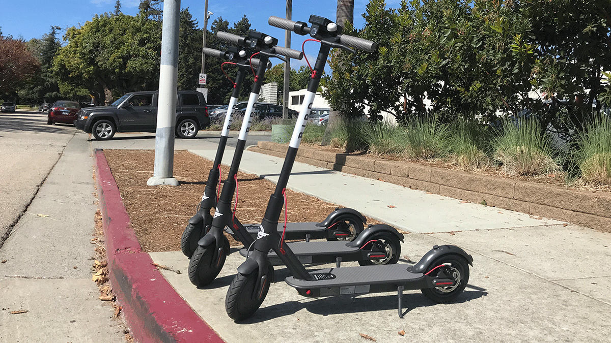 Bird scooters