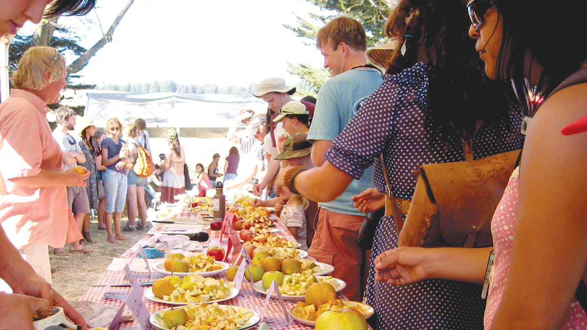 Fall Harvest Festival