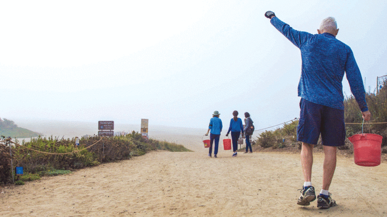 After 40 Years, Save Our Shores Plots Next Chapter