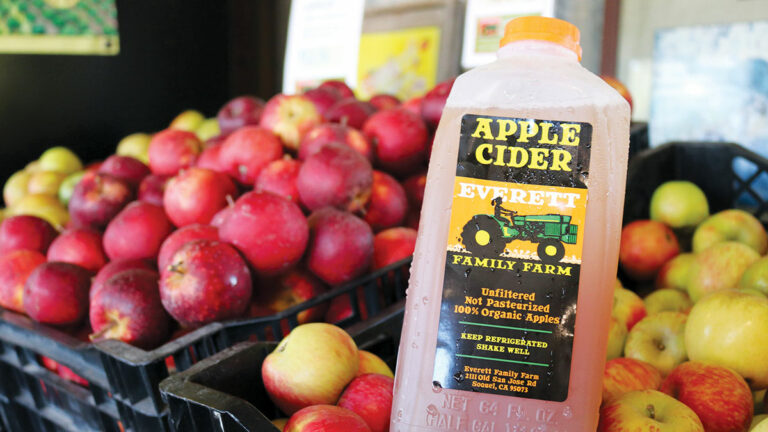 Peak Apple Season Arrives at Everett Family Farm