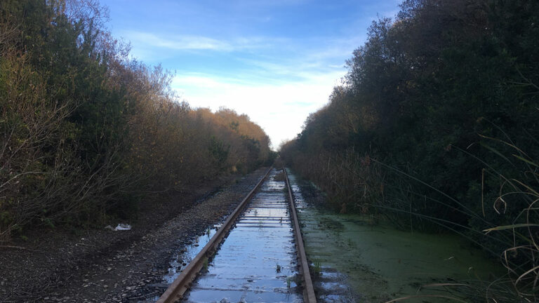 Q&A: New RTC Director Guy Preston on Rail, Trail and the Future