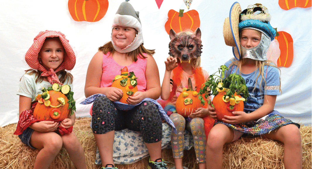 Felton pumpkins