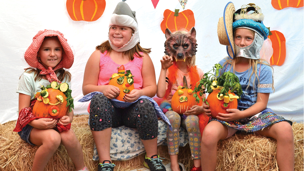 Felton pumpkins