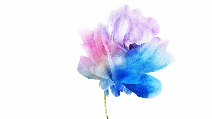 Opinion: November 14, 2018 Santa Cruz Gives 2018