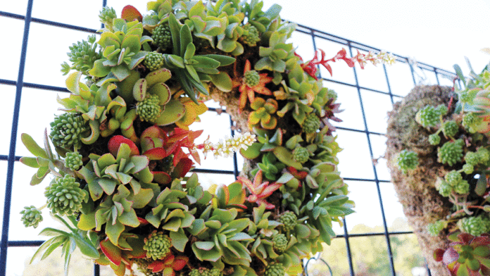 Santa Cruz Holiday Markets Set Up Shop wreath