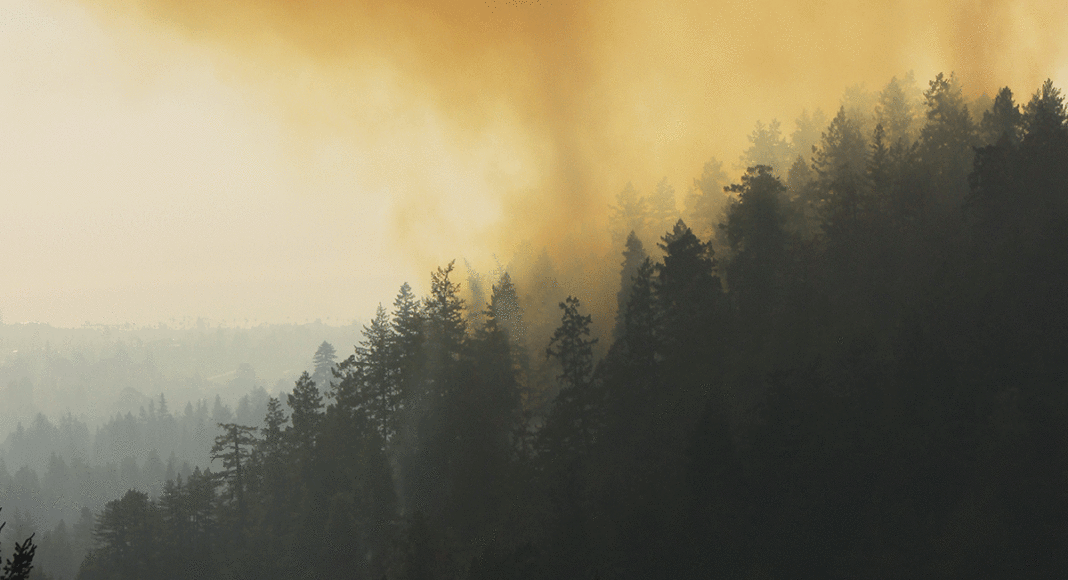 wildfire