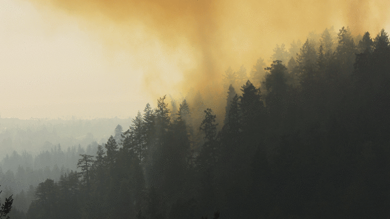 The Real Health Risks of Wildfire Smoke