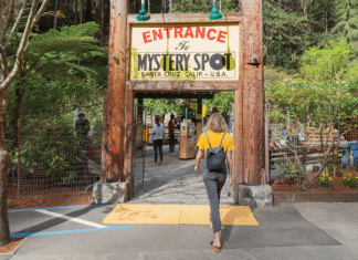 Sharks, Tsunamis, the Mystery Spot: Answering Readers’ Top Santa Cruz Questions Mystery Spot