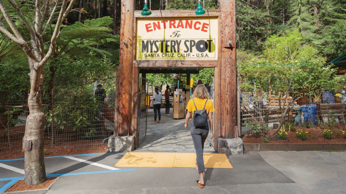 Sharks, Tsunamis, the Mystery Spot: Answering Readers’ Top Santa Cruz Questions Mystery Spot