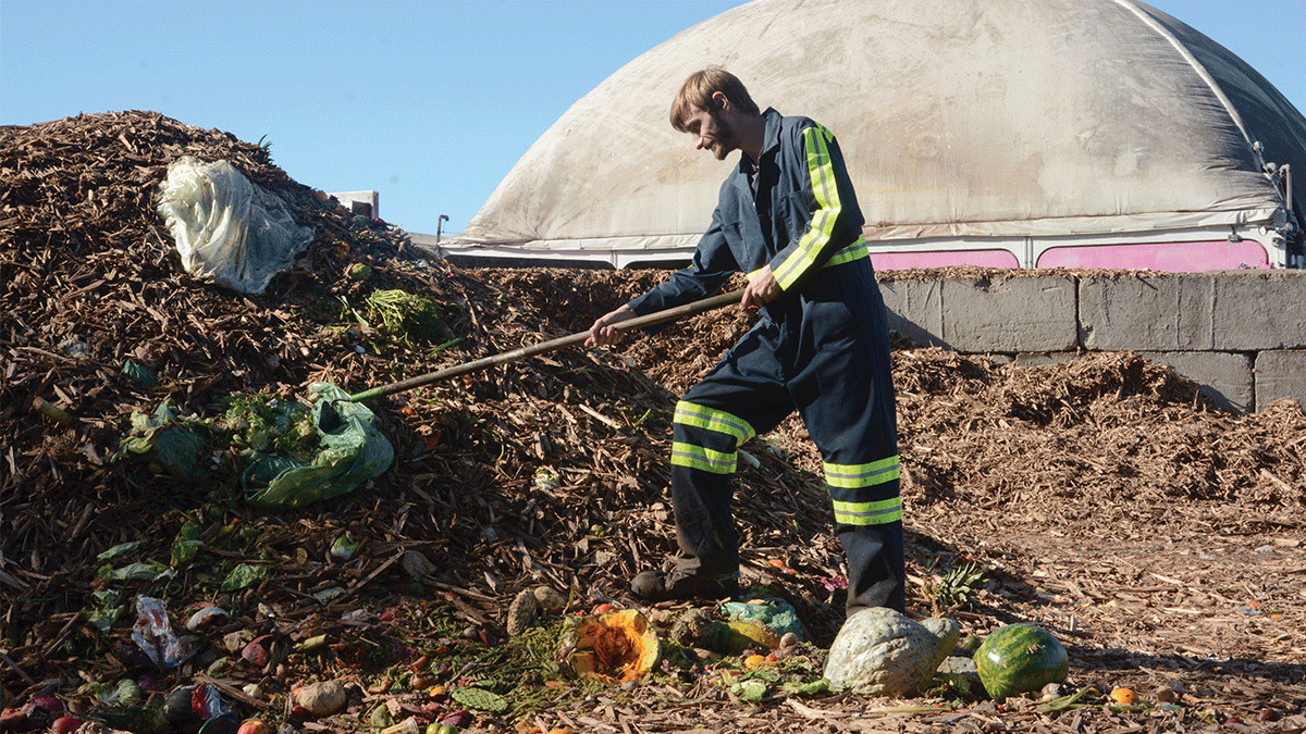 Santa Cruz compost