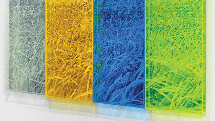 Opinion: January 23, 2019 Cabrillo Gallery