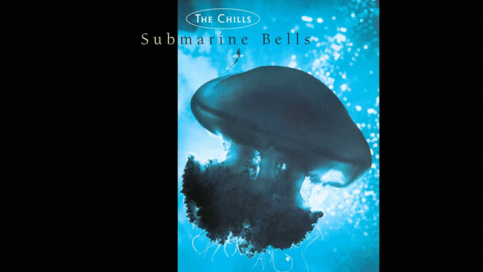 5 Essential Songs By The Chills Chills Martin Phillipps