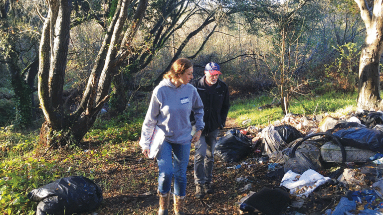 What Does the Homeless Census Really Tell Us?