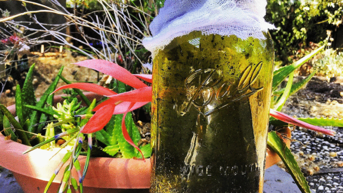 CBD: Cure-All or Snake Oil? Akasha Apothecary CBD