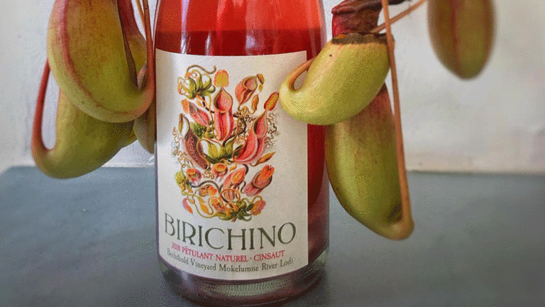 Birichino’s 2018 Pétulant Naturel Cinsaut