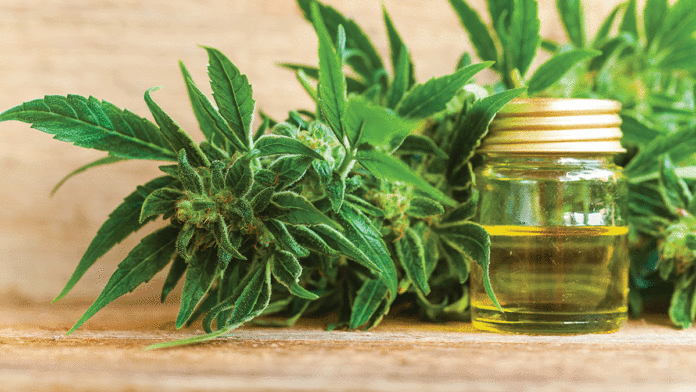What We Don’t Know About CBD—and Why CBD cannabis health