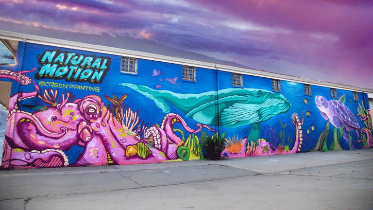 Muralists Aim To Super-Size Santa Cruz Public Art
