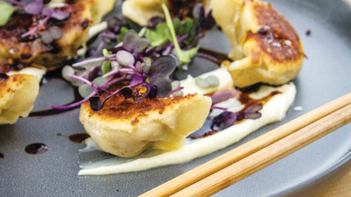 Full Steam Dumpling Makes Local Debut Full Steam Dumpling