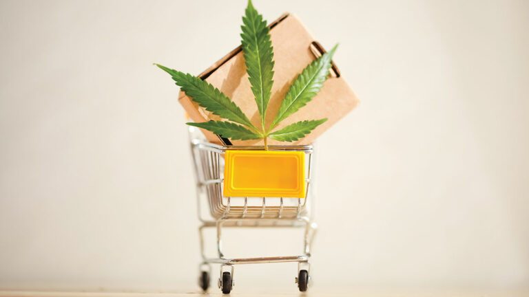 Santa Cruz County’s Cannabis Delivery Battle