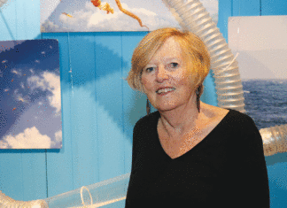 Capitola’s Museum of Discovery Plans For Next Generation Museum of Discovery Patrice Keet