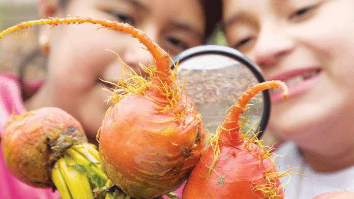 Brunch For A Cause With Life Lab Life Lab