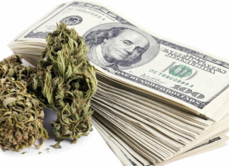 Rolling in Cash, Cannabis Businesses Seek Banks cannabis banks