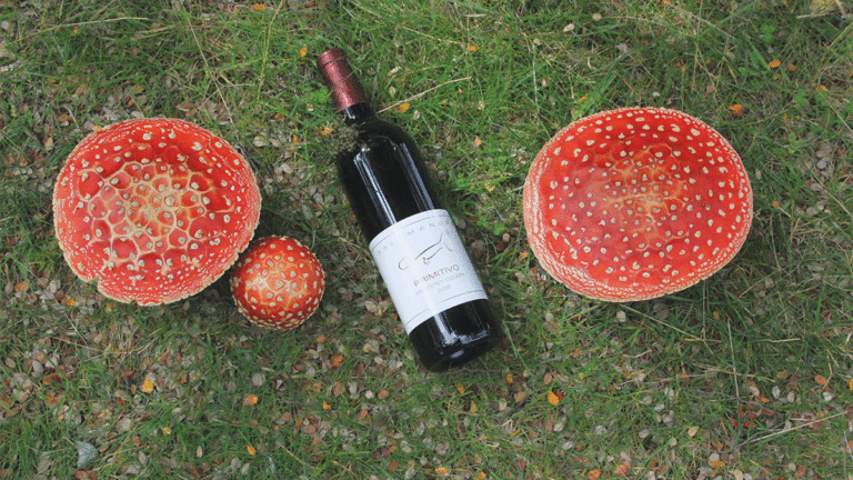 Salamandre Wine Cellars’ Nature-Inspired Pinot