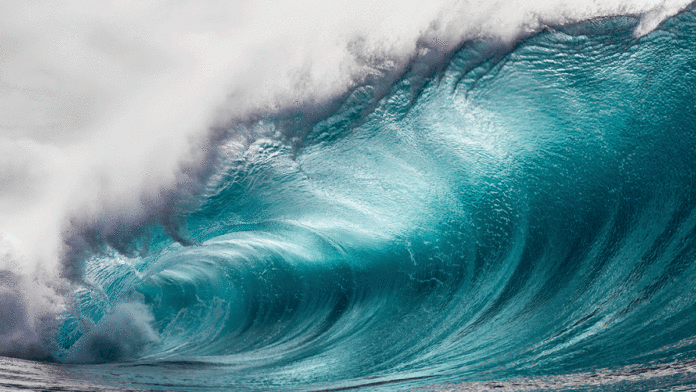 6 Things To Do in Santa Cruz: June 5-11 World Oceans Day