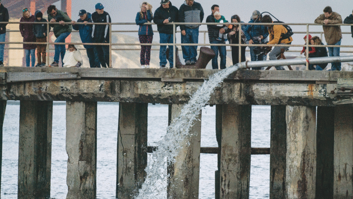 5 Things To Do in Santa Cruz: July 10-16 Artifishal