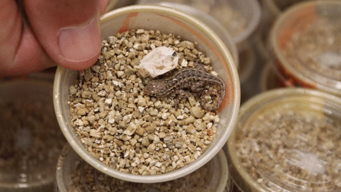 Opinion: July 3, 2019