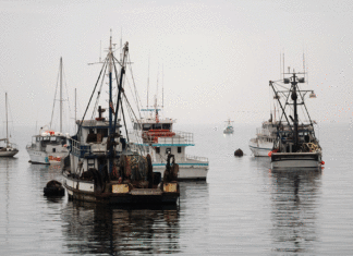 Congress to Tests Winds on Fishery Changes fishery reform