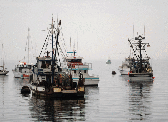 Congress to Tests Winds on Fishery Changes fishery reform