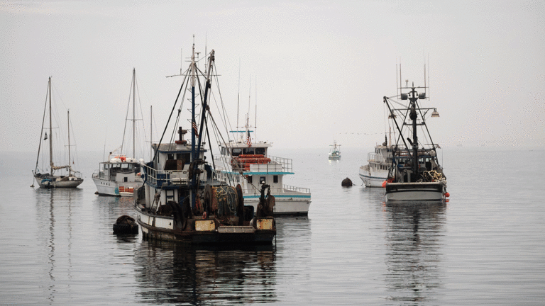 Congress to Tests Winds on Fishery Changes