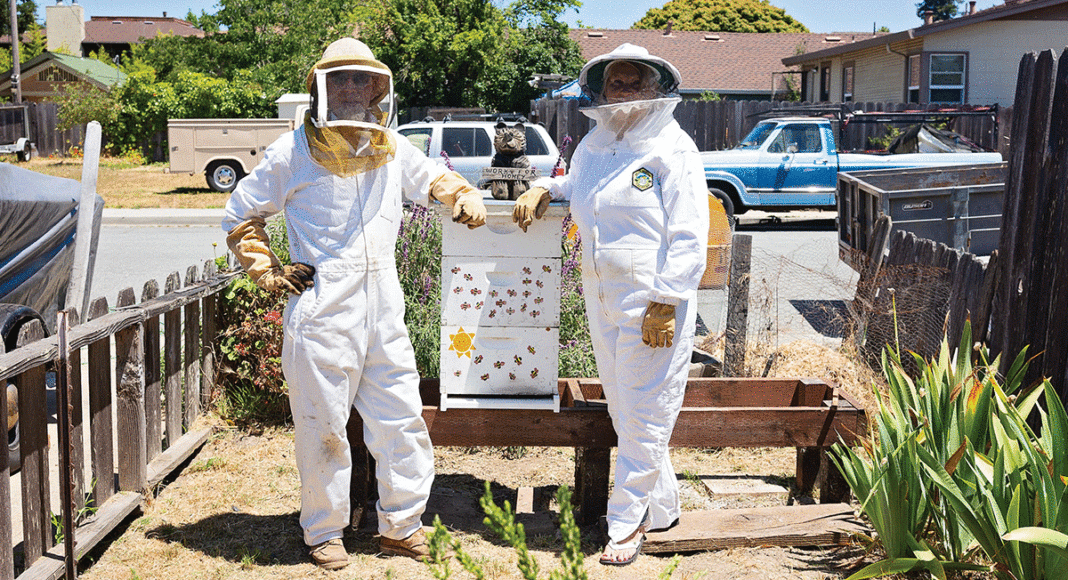 beekeeper
