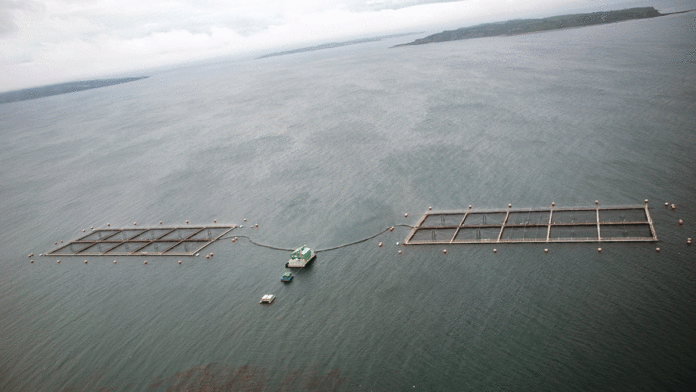 5 Things To Do in Santa Cruz: July 31-August 6 patagonia premiers