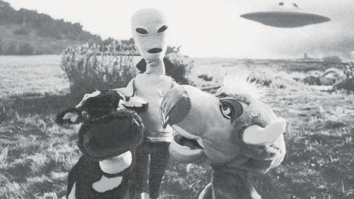 5 Things To Do in Santa Cruz: July 24-30 puppets