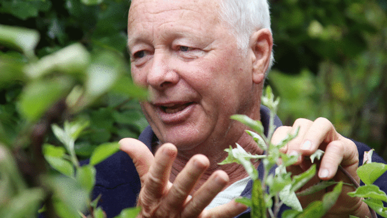 How Not to Kill Your Fruit Trees