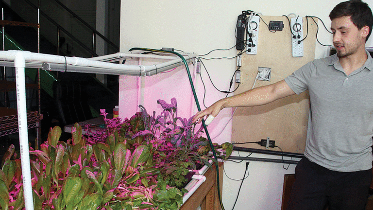 Can Startup Sandbox Make Santa Cruz a Biotech Hub?