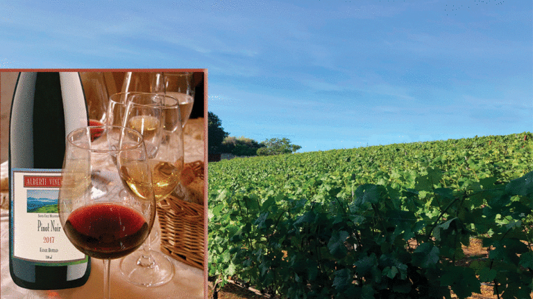 Alberti Vineyard’s Top-Notch Pinot Noir