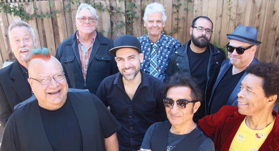 Oingo Boingo