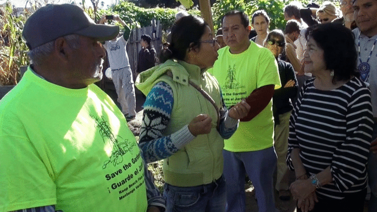 Film Captures Fight to Save Beach Flats Garden